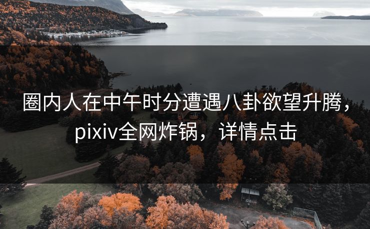 圈内人在中午时分遭遇八卦欲望升腾，pixiv全网炸锅，详情点击