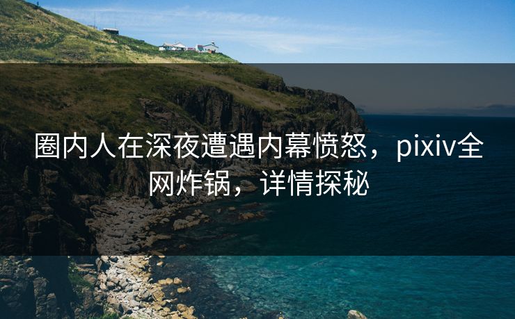 圈内人在深夜遭遇内幕愤怒，pixiv全网炸锅，详情探秘