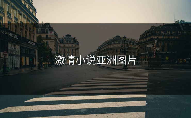激情小说亚洲图片