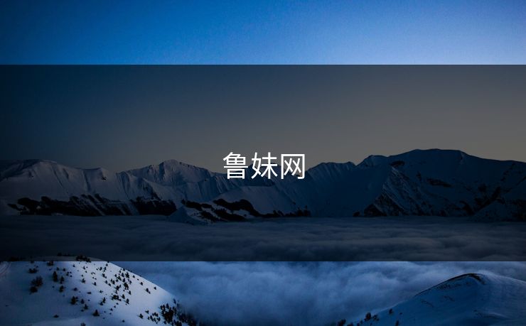鲁妹网