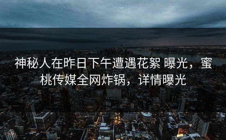神秘人在昨日下午遭遇花絮 曝光，蜜桃传媒全网炸锅，详情曝光