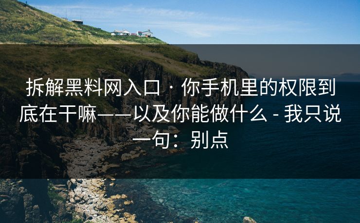 拆解黑料网入口 · 你手机里的权限到底在干嘛——以及你能做什么 - 我只说一句：别点