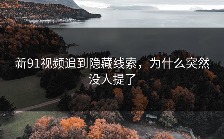 新91视频追到隐藏线索,为什么突然没人提了 新91视频追到隐藏线索,为什么突然没人提了